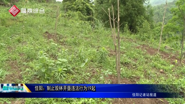 佳陽(yáng)：制止毀林開(kāi)墾違法行為19起