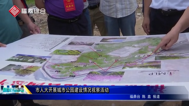 市人大開展城市公園建設情況視察活動