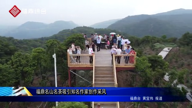 福鼎名山名茶吸引知名作家創作采風