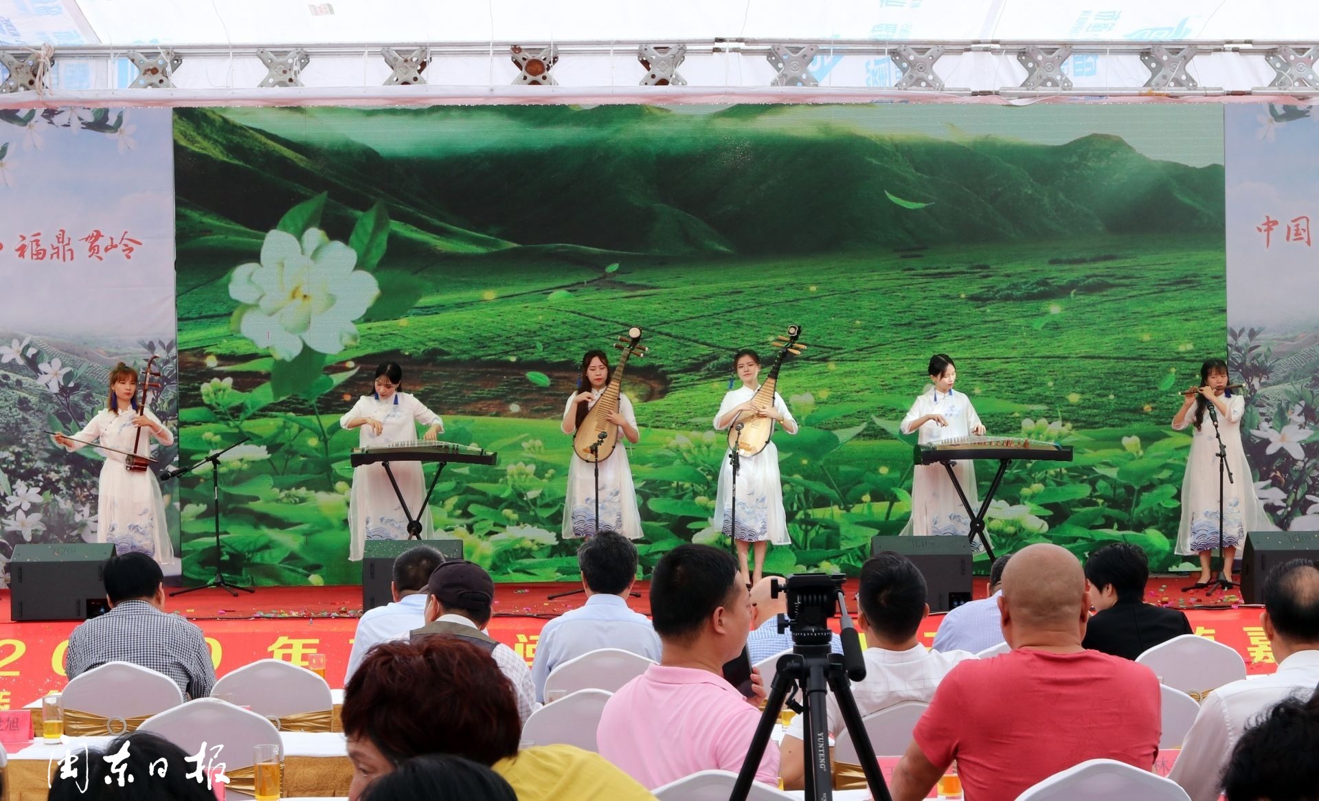福鼎梔子花農旅文化節開幕！