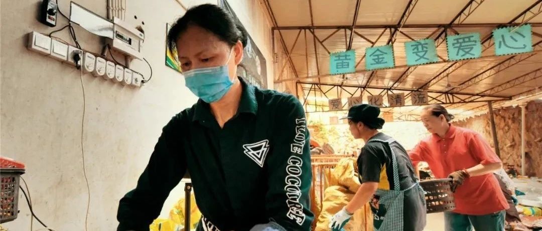 從“單打獨斗”到“一呼百應”，他們把環保理念帶給千家萬戶