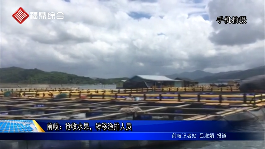 前岐：搶收水果，轉移漁排人員