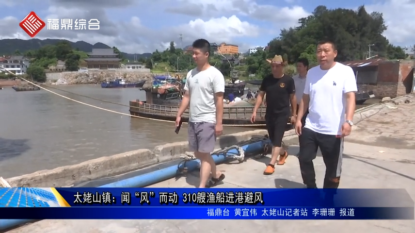 太姥山鎮(zhèn)：聞“風(fēng)”而動 310艘漁船進(jìn)港避風(fēng)