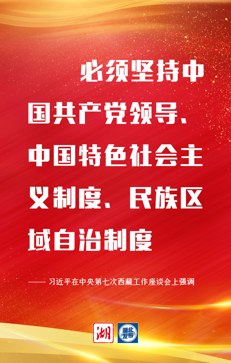 關于西藏，習近平最新強調10個“必須”