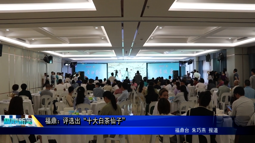 福鼎：評選出“十大白茶仙子”