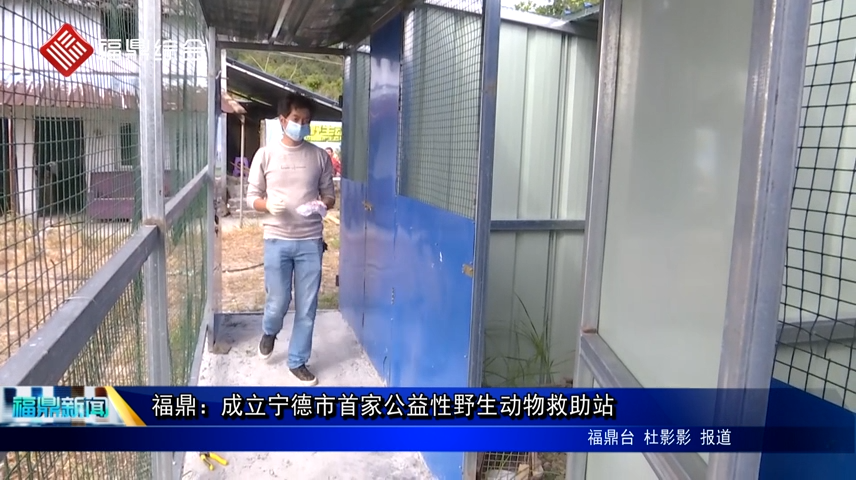 福鼎：成立寧德市首家公益性野生動物救助站