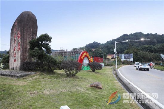 點頭鎮著力推進美麗公路美化亮化工程建設