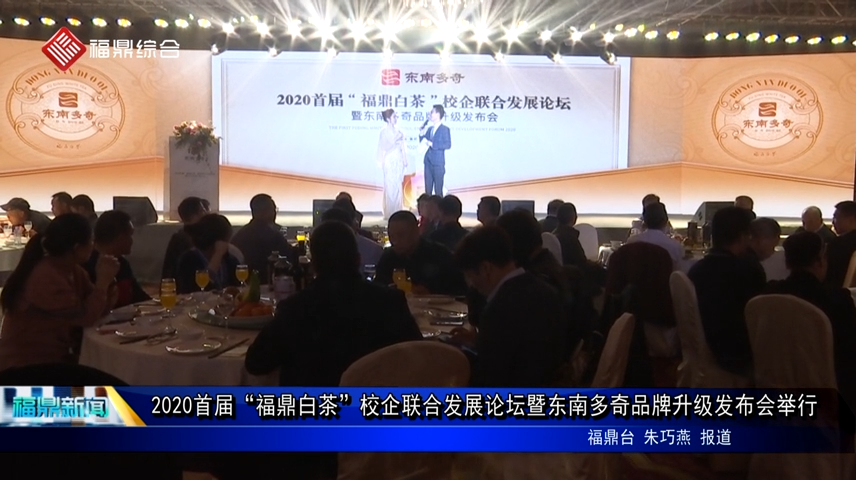 2020首屆“福鼎白茶”校企聯合發展論壇暨東南多奇品牌升級發布會舉行