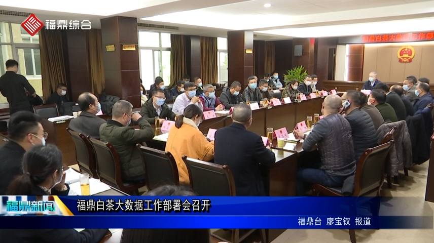 福鼎白茶大數(shù)據(jù)工作部署會召開