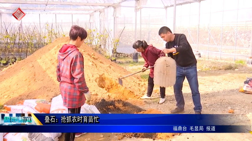 疊石：搶抓農時育苗忙