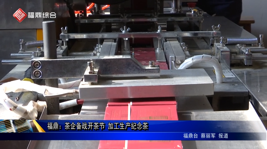 福鼎：茶企備戰開茶節 加工生產紀念茶