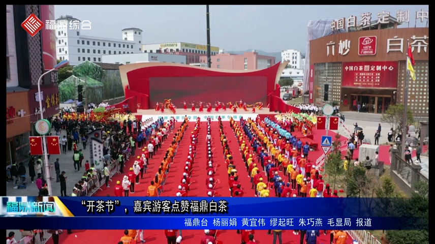 “開茶節”，嘉賓游客點贊福鼎白茶