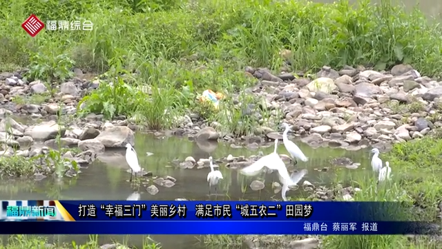 打造“幸福三門”美麗鄉村  滿足市民“城五農二”田園夢