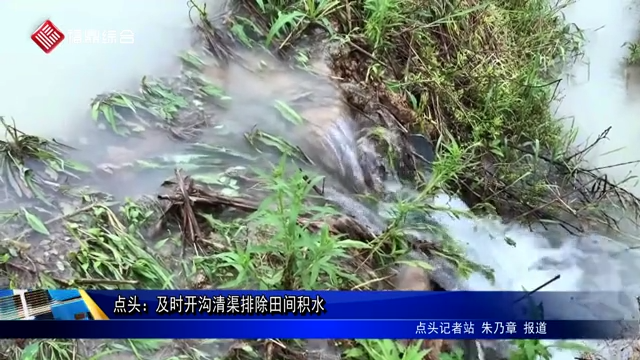 點頭：及時開溝清渠排除田間積水