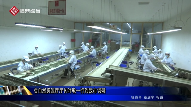 省自然資源廳廳長葉敏一行到我市調(diào)研