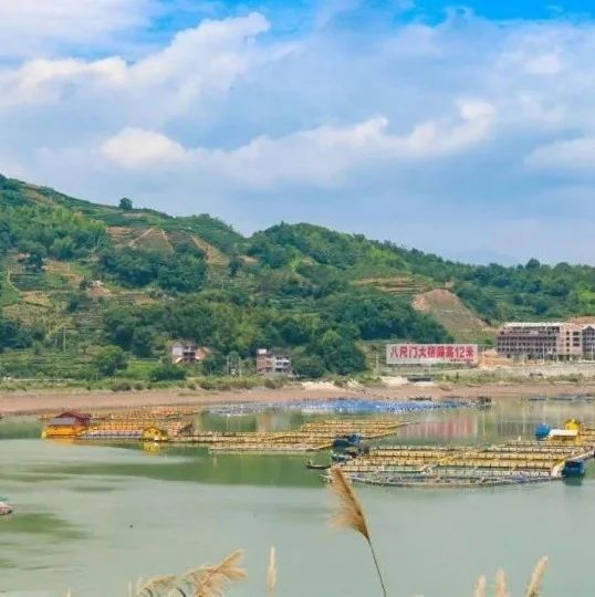 嗨，你去過(guò)白巖村嗎？這里正打造美食旅游特色村！