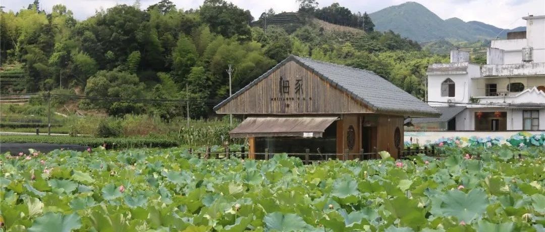 跟我走吧，天亮就出發！柏柳村打卡get√