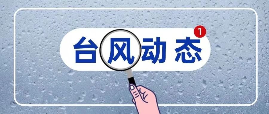 臺風“煙花”逼近，福鼎筑牢“防護結界”
