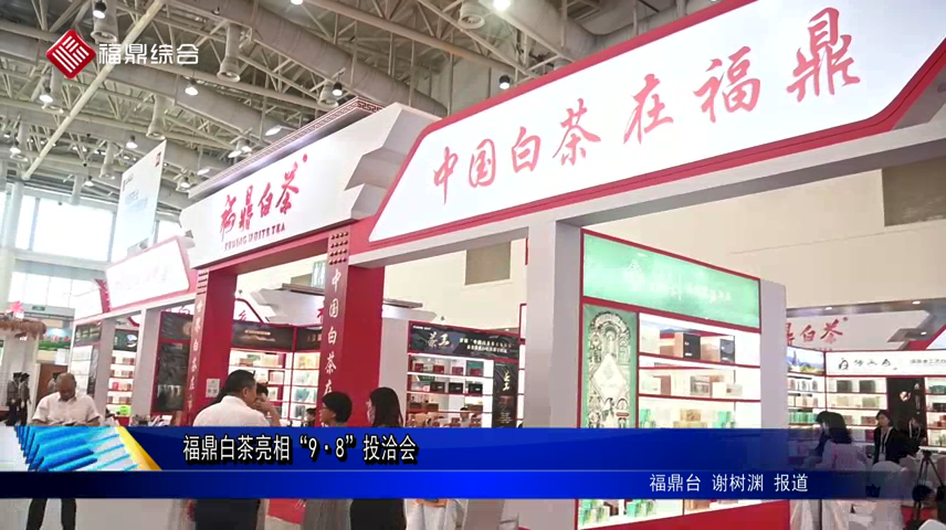 福鼎白茶亮相“9·8”投洽會(huì)