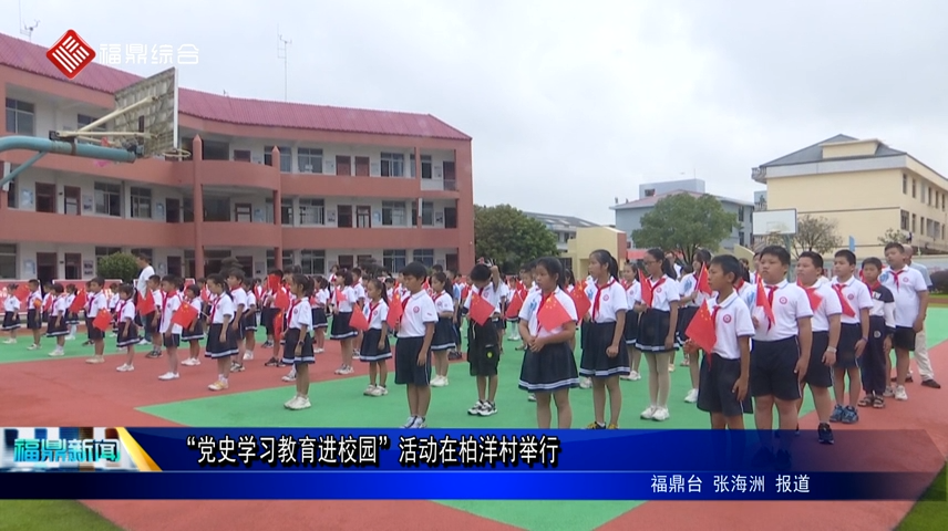 “黨史學(xué)習(xí)教育進(jìn)校園”活動在柏洋村舉行
