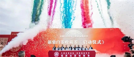 桐山溪畔這場(chǎng)活動(dòng)，“收藏了”！