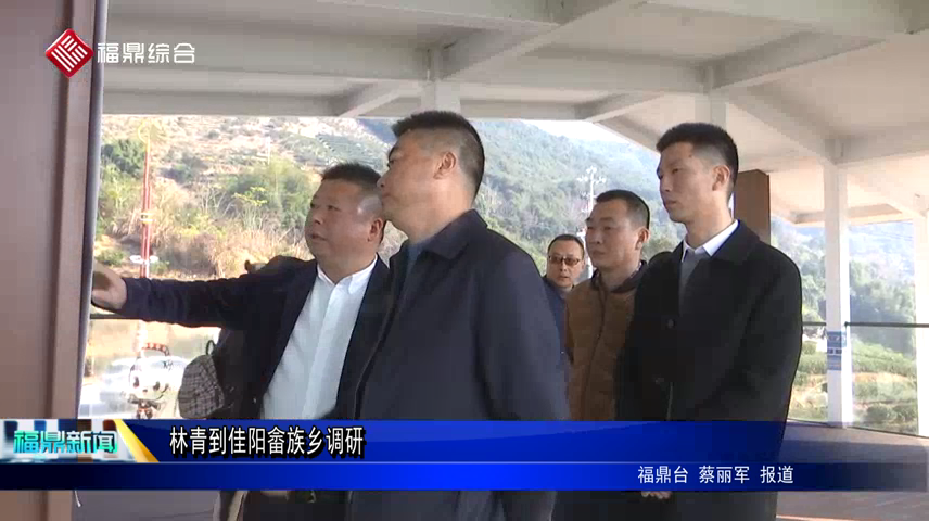 林青到佳陽畬族鄉調研