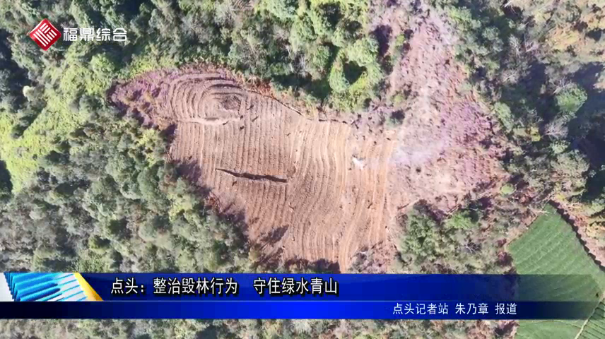 點頭：整治毀林行為  守住綠水青山