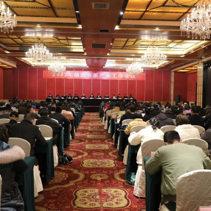 定了！2022年福鼎茶產業要這么干！