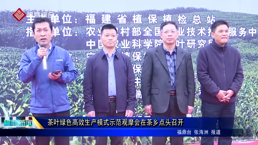 茶葉綠色高效生產模式示范觀摩會在茶鄉點頭召開