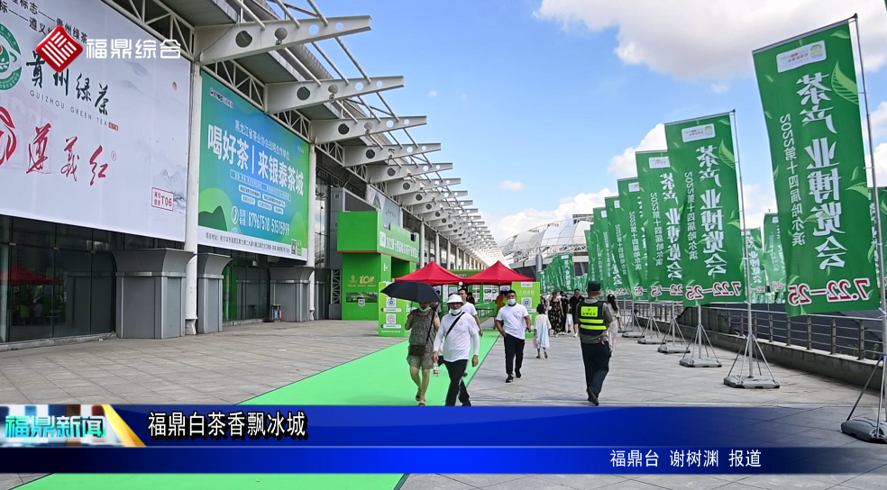 福鼎白茶香飄冰城