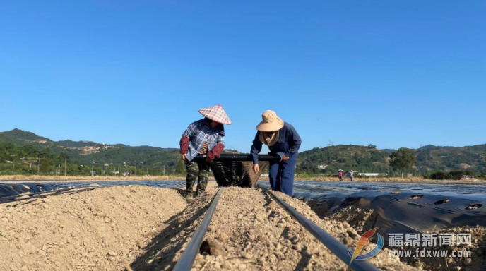 搶抓時機 秋季農業生產進入高峰