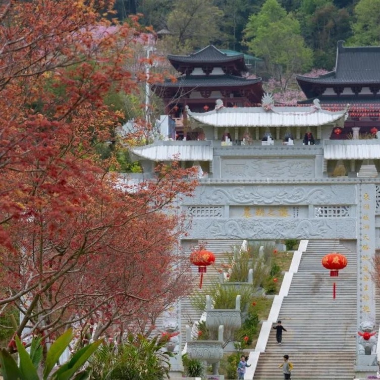 今天，他們觀摩金牌旅游村！