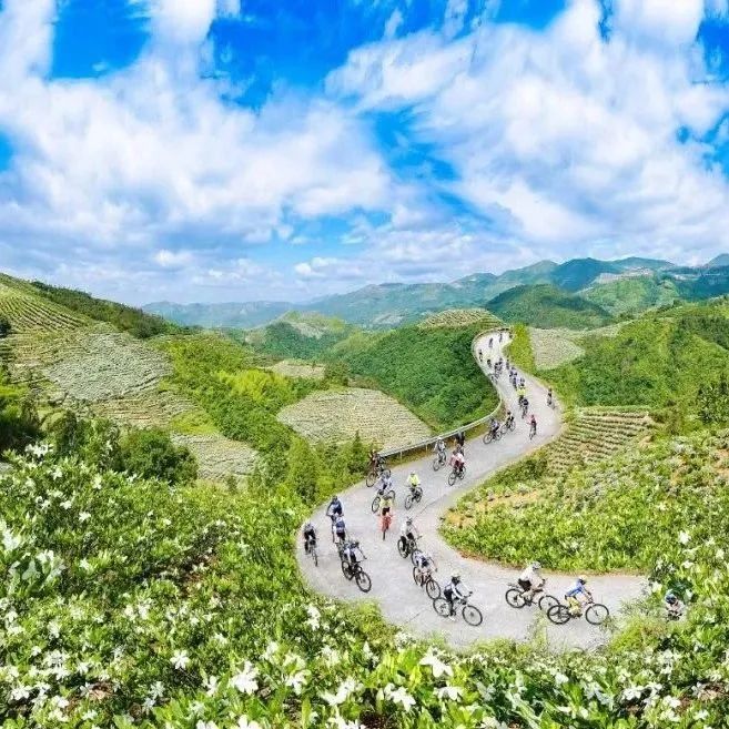 福鼎：閩浙邊界“聯(lián)建”，凝聚振興合力