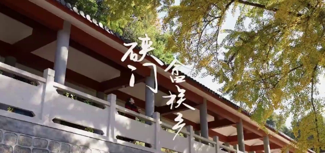 從山里來，到海邊去。去瑞云村賞銀杏，去石蘭村看城堡，去漁井村感受大海的孤獨遼遠。第二期福鼎周邊游走進硤門畬族鄉(xiāng)，文字攻略在視頻最后。