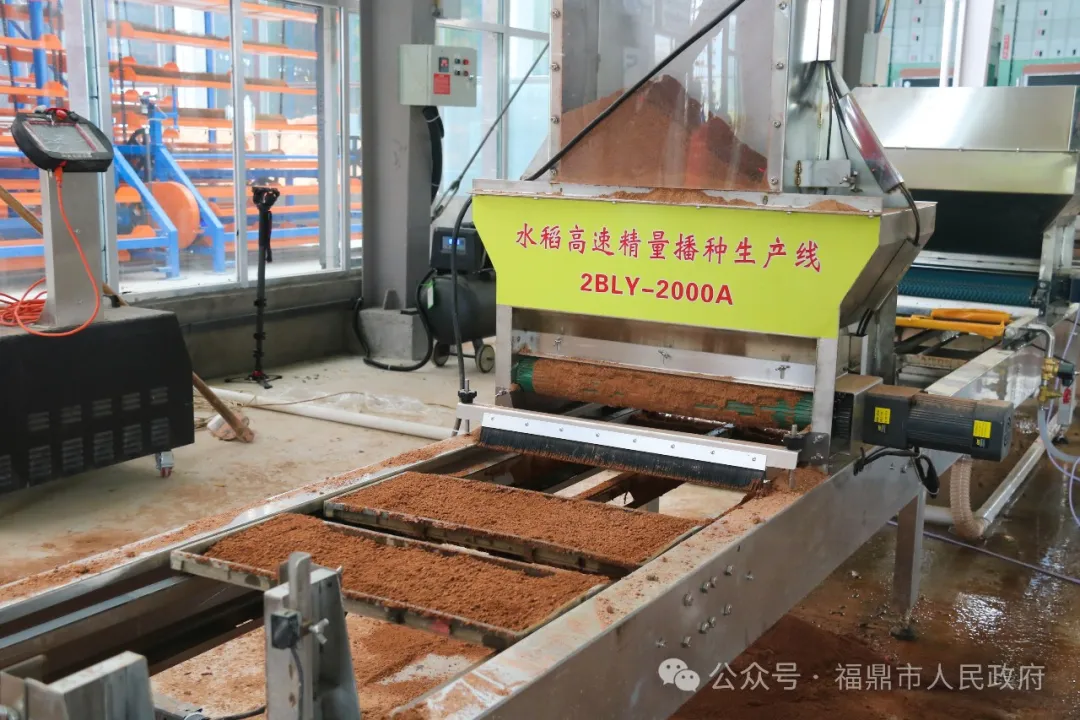 福鼎市農墾智慧育苗中心正式啟用