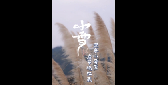 北風(fēng)漸勁，草木黃落，小雪至，天漸寒，記得添衣。