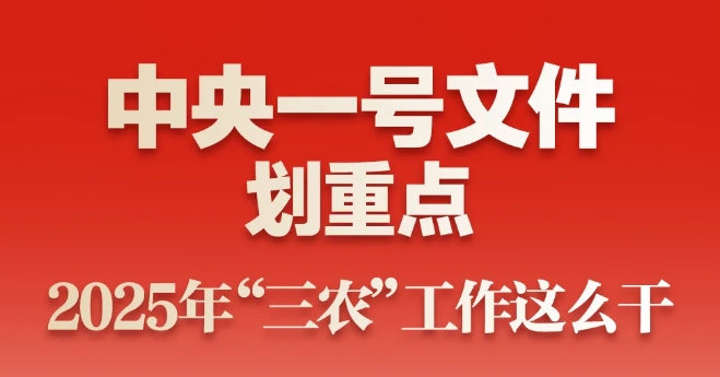 中央一號(hào)文件劃重點(diǎn)！