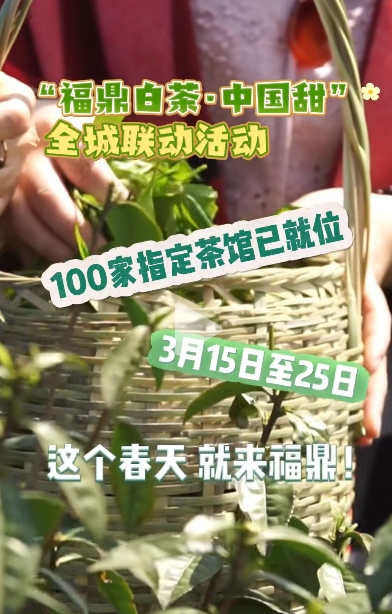 3月15日至25日來福鼎參加“福鼎白茶·中國甜”全城聯動活動，100家指定茶館等你來體驗！