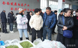 2025年福鼎白茶大數據溯源平臺今日正式開啟！