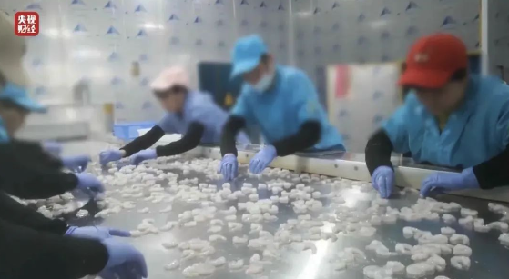 查封！關停！各地多部門連夜查處3·15曝光問題