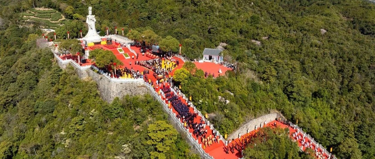 震撼！這就是中國(guó)白茶始祖的排面！