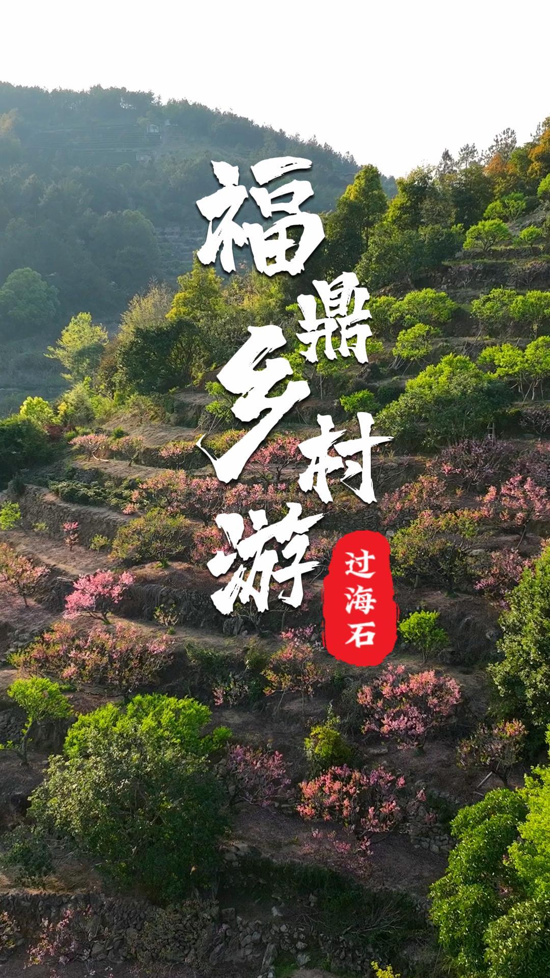 三生三世十里桃花，我在前岐鎮過海石村尋到了江南的春信