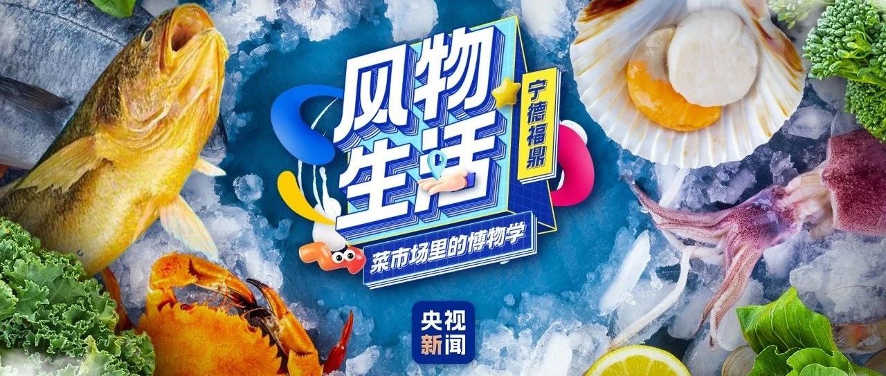 福鼎海鮮有多鮮？央視來(lái)探秘→