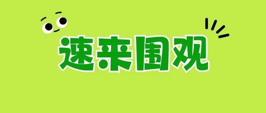 首屆全國福鼎老白茶茶王賽茶王揭曉！獲獎的是……