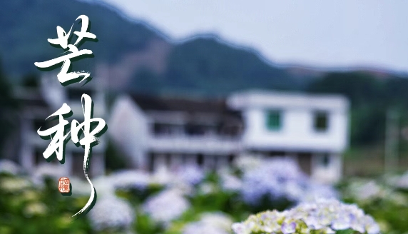 “芒”有所獲，“種”有所得