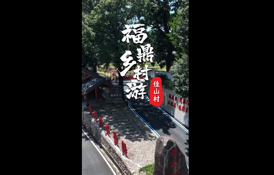 【玩轉(zhuǎn)福鼎】進福門走福道摸福樹逛福園！這個閩浙邊界小村，福氣太硬核！