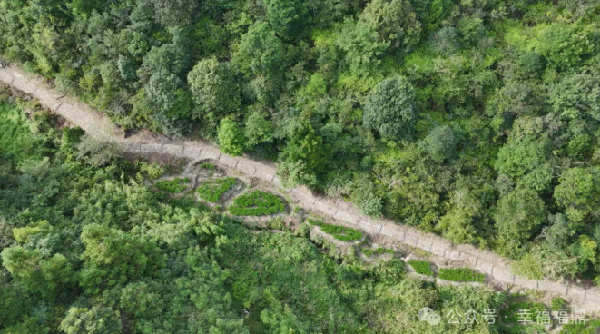 期待！福鼎這段古道即將修復完工，你曾走過嗎？
