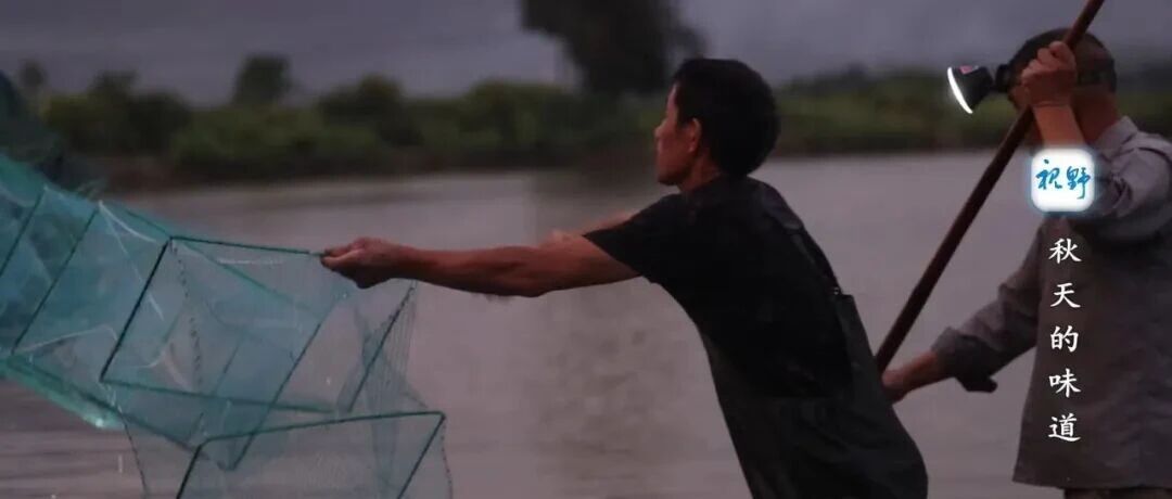 【視野】秋天的味道