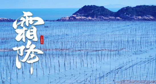 霜降｜秋天的福鼎，第一眼是心動！